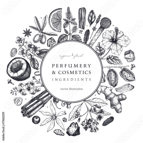 Aromatic plants wreath. Perfumery and cosmetics ingredients banner. Flower, fruit, spice, herb sketches. Hand drawn vector illustration. Packaging design template.