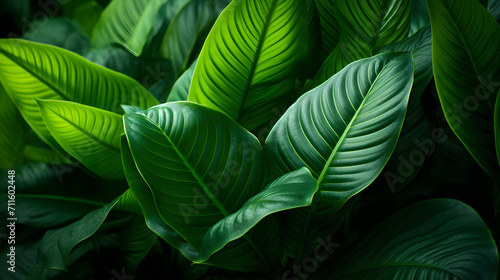 Vibrant tropical leaves,  Nature leaves, green tropical forest. Generative AI