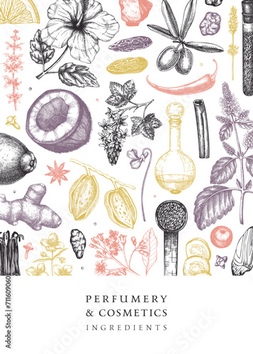 Aromatic plants flyer template. Perfumery ingredients banner. Flower, fruit, spice, herb sketches. Hand drawn vector illustration. Cosmetics packaging design