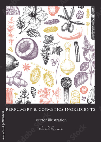 Aromatic plants flyer template. Perfumery ingredients banner. Flower, fruit, spice, herb sketches. Hand drawn vector illustration. Cosmetics packaging design