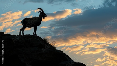 Mountain Goat Silhouette photo