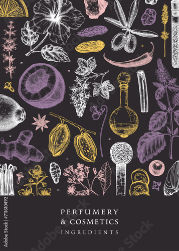 Aromatic plants flyer template. Perfumery ingredients banner. Flower, fruit, spice, herb sketches. Hand drawn vector illustration. Cosmetics packaging design