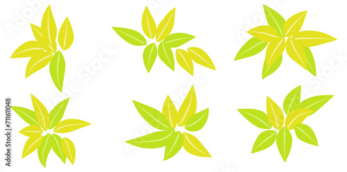 Collection Of Autumn Fall Yellow Leaves Flat Icon  Leaves Of Trees For Eco Design Vector Illustration.