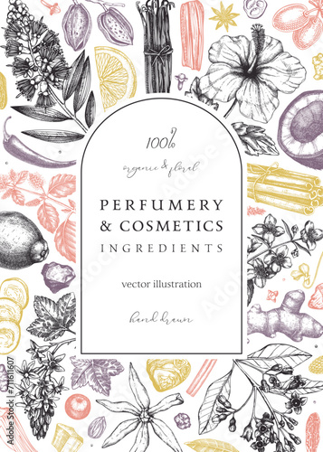 Aromatic plants card template. Perfumery ingredients frame. Flower, fruit, spice, herb sketches. Hand drawn vector illustration. Cosmetics packaging concept