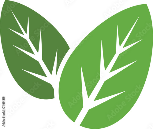 Nature Leaf Logo Icon