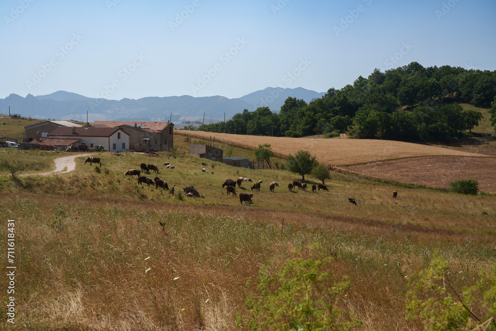 Country landscape near Potenza, Basilicata, Italy Country landscape near Potenza, Basilicata, Italy