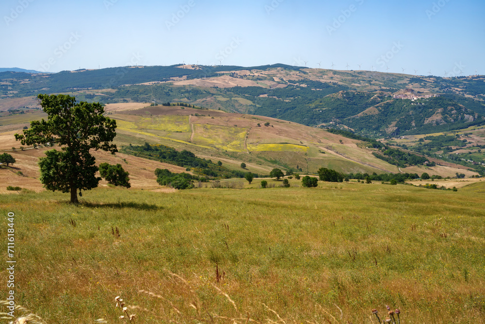 Fototapeta premium Country landscape near Potenza, Basilicata, Italy