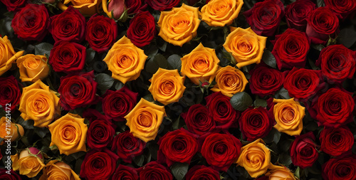 Red Roses And Orange Roses Wallpaper