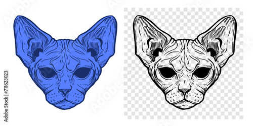 Sphinx cat, hairless cat, oriental, vector black and white illustration, elements for print design for t-shirt, tattoo