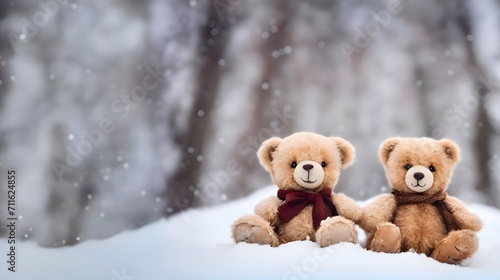 Two Teddy Bears Sitting In the Snow © Rafiq