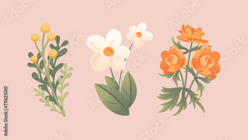 Set of delicate spring wildflowers. Trollius, immortelle, chamomile. In cartoon style for stickers, posters, postcards, design elements © Любовь Кондратьева