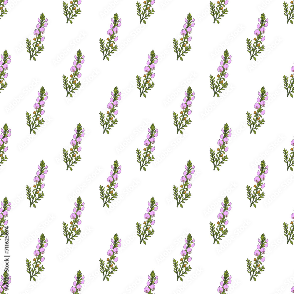 Seamless pattern with field restharrow Seamless pattern with field restharrow
