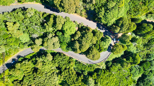 Downward aerial view of a beautful windy road across a forest © jovannig