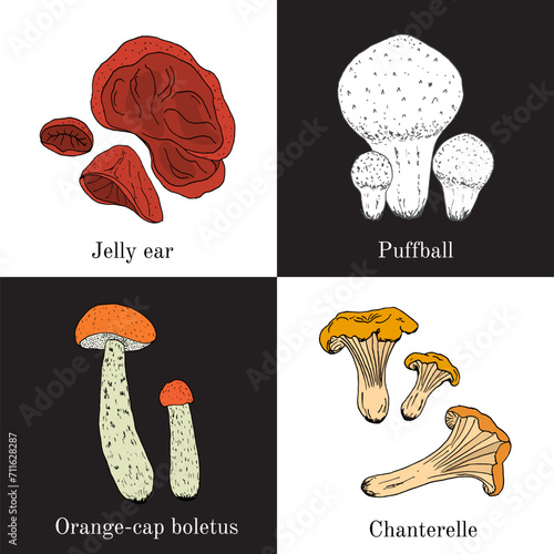 Collection of edible and medicinal mushrooms