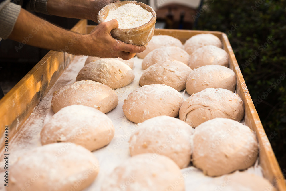 Fototapeta premium Bread preparation. loaves of dough before baking