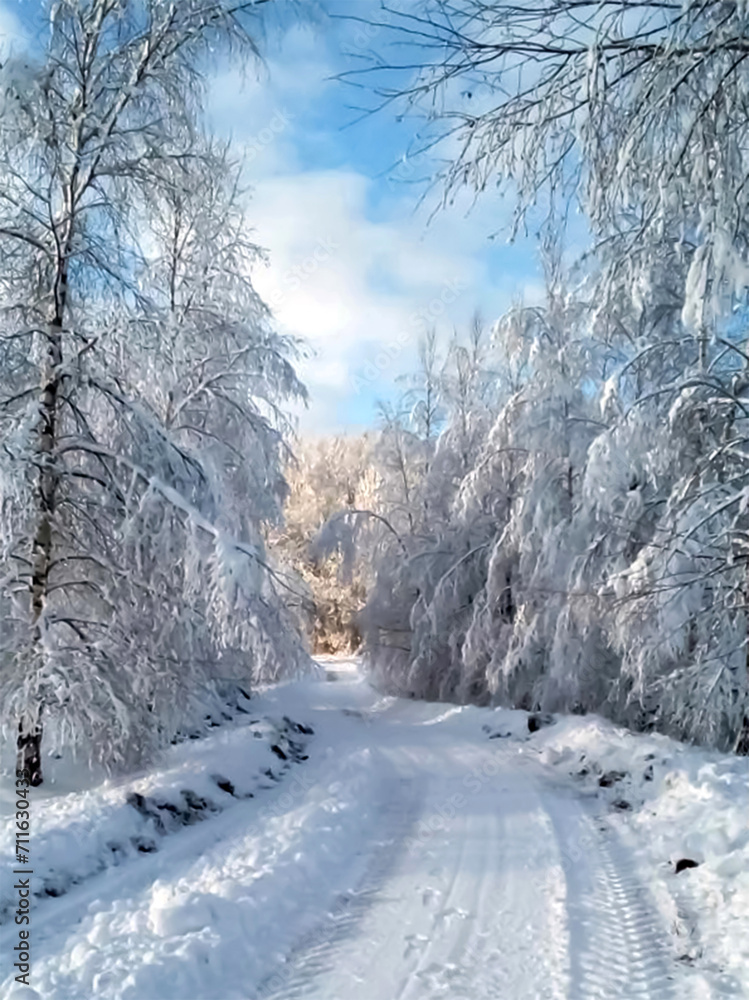 Fototapeta premium - 3 winter roads in the countryside