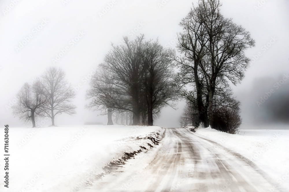 - foggy landscape with a country road on a winter day
