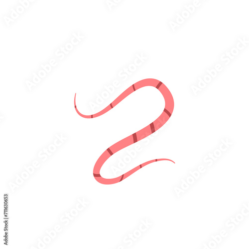 Pinworms Vector Illustration