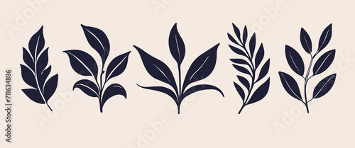 Beautiful decorative leaf silhouette.  Simple stencils. Silhouette leaves, plant design. 