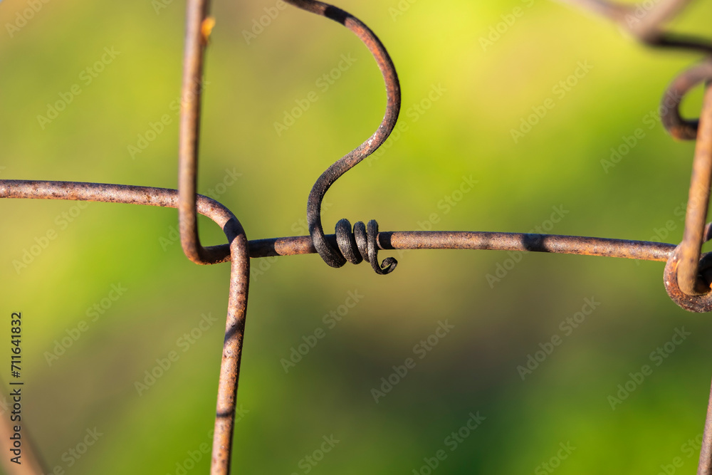 Dead tendrils of vines clinging on the wire fence in a vineyard. Spiral Dead tendrils of vines clinging on the wire fence in a vineyard. Spiral