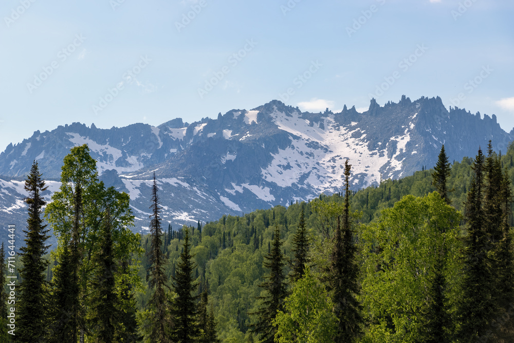 Mountain taiga of the Kuznetsk Alatau. Western Sayan mountains
