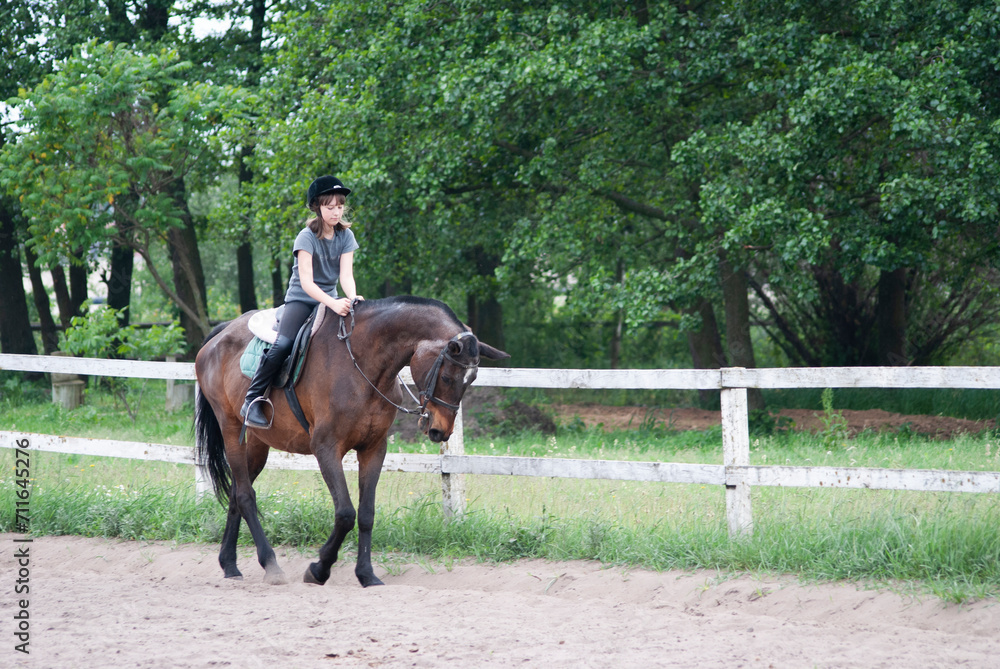 Teenage girl riding a horse Teenage girl riding a horse