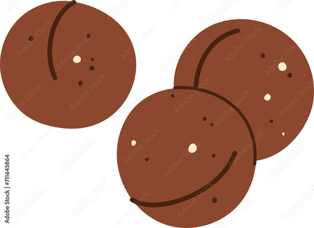 Maroochi bauple or macadamia nut in shell Maroochi bauple or macadamia nut in shell