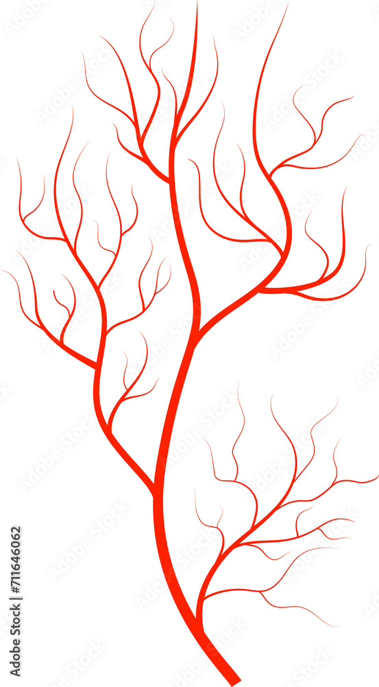 Red vein blood vessel texture artery and capillary Red vein blood vessel texture artery and capillary