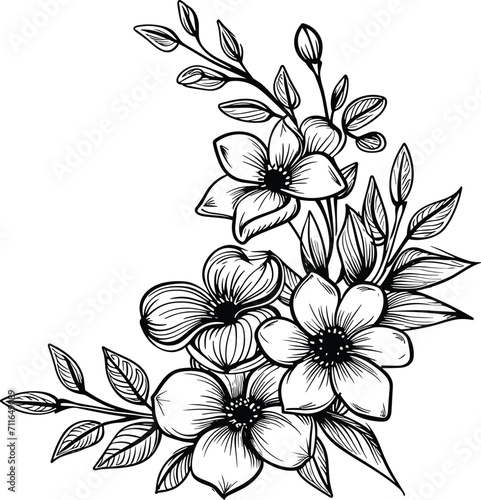 rose flowers bud leaf branch coloring vector book pattern elements 