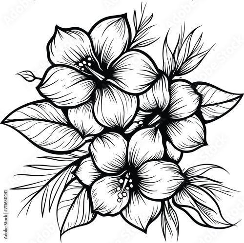 rose flowers bud leaf branch coloring vector book pattern elements 