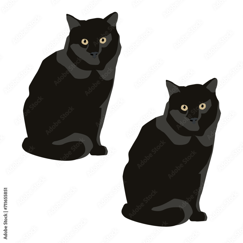 Obraz premium Vector black cat sitting isolated on white background