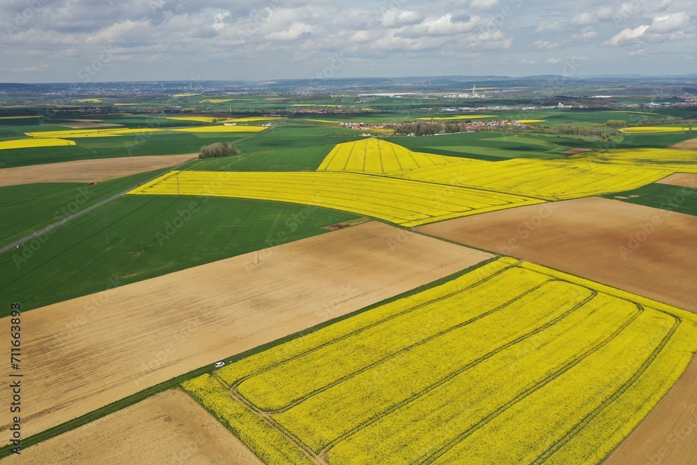Paysage avec colza en fleurs