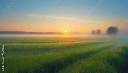 Green rice fields natural landscapes with clear sky. Fog in the valley. Sunlight entering the valley and on the mountains. Beautiful summer morning.ai generated