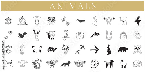 Animals handdrawn elements  Animal illustrations  Drawings  WIld  Tattoo design  Birds  Deer  Collection  Set