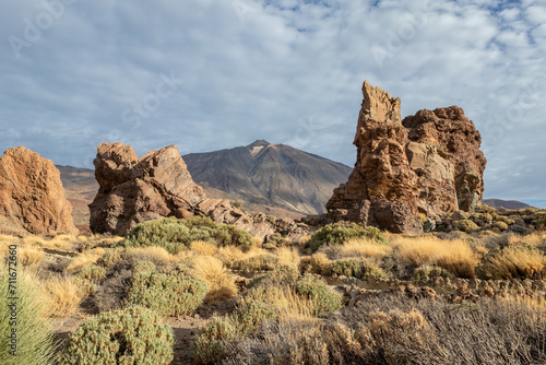 Landscape of Teide National Park , Tenerife
