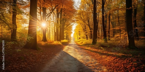 Beautiful autumn landscape with yellow trees and sunlight