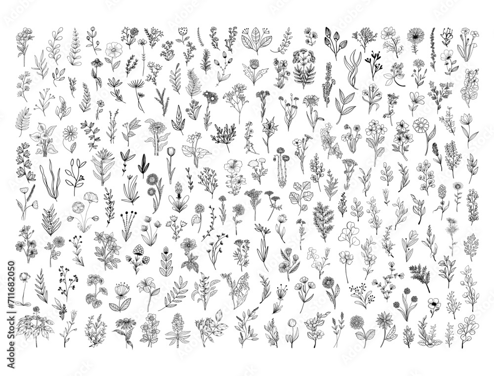 Wild flowers silhouette vector art white background Wild flowers silhouette vector art white background