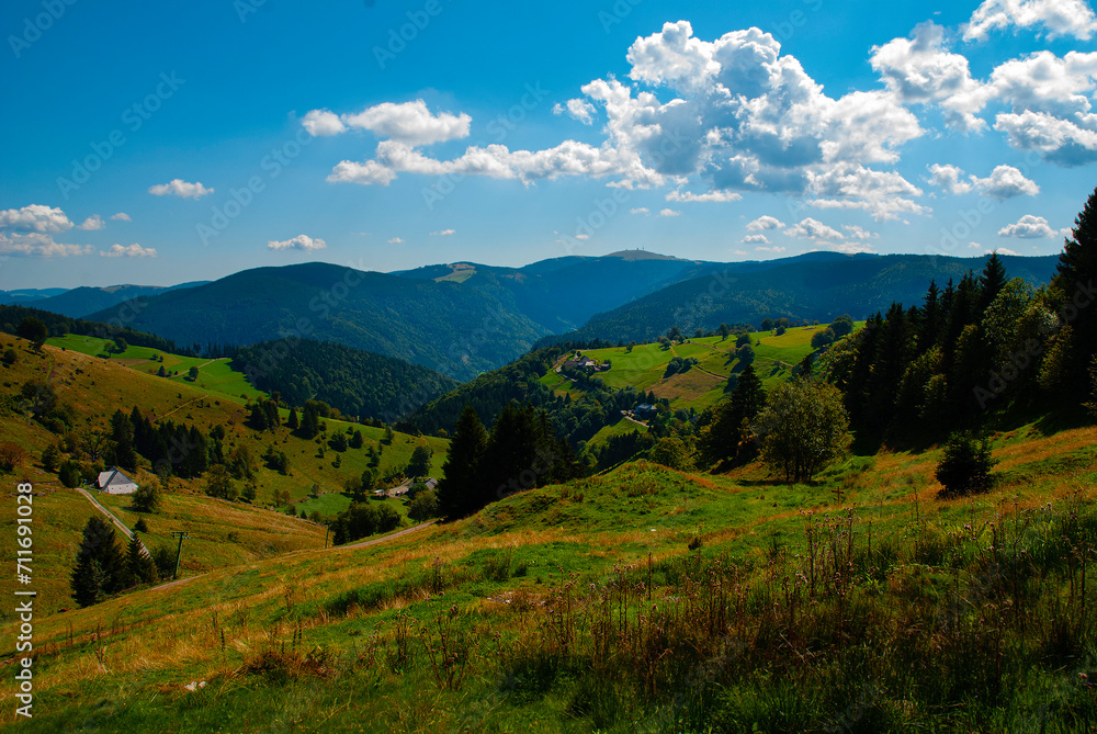 Fototapeta premium Schwarzwald Berge