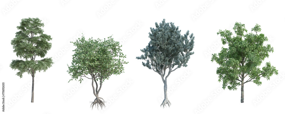 Fototapeta premium 3d rendering tree isolated cut background