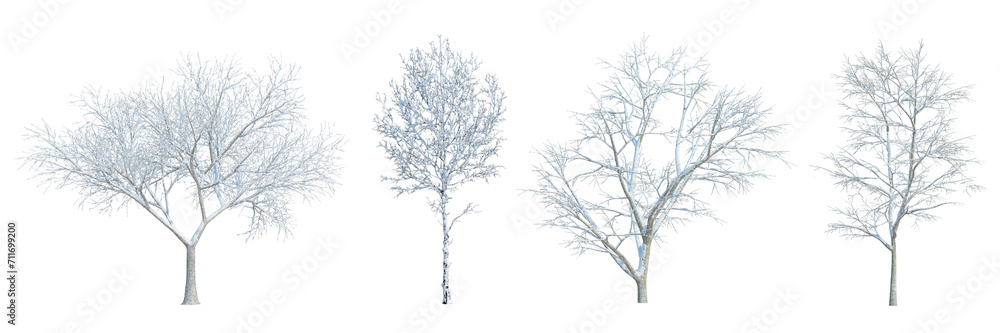 3d rendering Winter tree isolated cut background