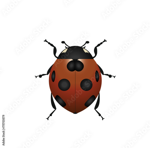 Vector illustration of a ladybug on a white background © Dav_782