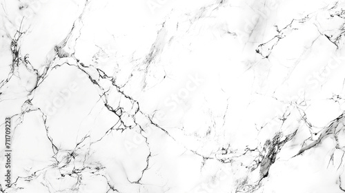 Marble texture. White marble with black and gray veins.