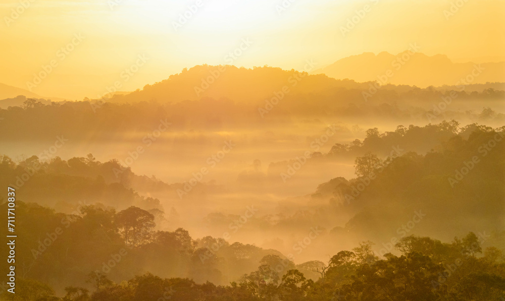 The stunning view from a tourist's standpoint as they go down a hill on a foggy trail with a hill and a background of a golden sky in Forest Park, Thailand. Bird's eye view. Aerial view. The stunning view from a tourist's standpoint as they go down a hill on a foggy trail with a hill and a background of a golden sky in Forest Park, Thailand. Bird's eye view. Aerial view.