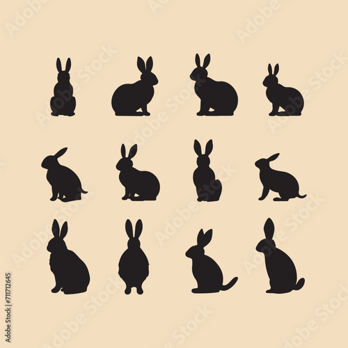 silhouette Bunny set Clipart on a hex color background