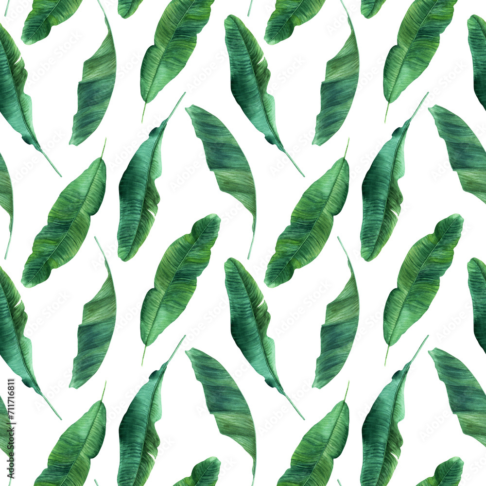 Obraz premium Watercolor seamless pattern with banana tree leaves. Hand drawn illustration isolated on white background. For wrapping wallpaper fabric textile.