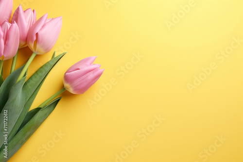 Pink telpans on a yellow background, free space on the right