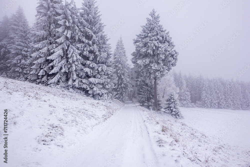 Kleine Winterwanderung im verschneiten Thüringer Wald bei Floh-Seligenthal - Thüringen - Deutschland Kleine Winterwanderung im verschneiten Thüringer Wald bei Floh-Seligenthal - Thüringen - Deutschland