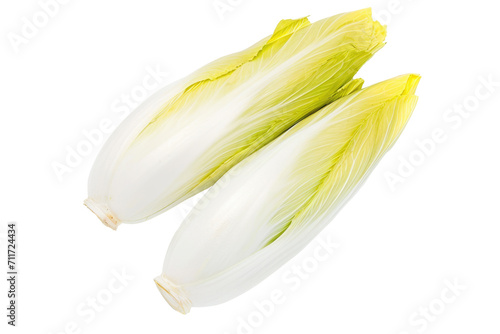Broad leaved endive/Chicory isolated from above isolated on white background