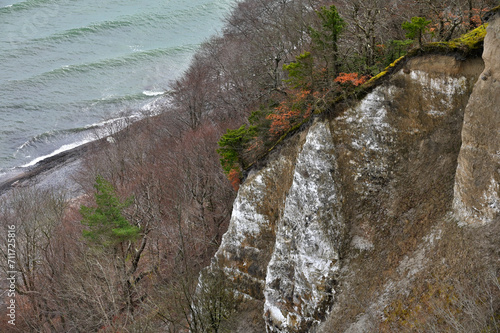 Famous white cliffs Rugen photo