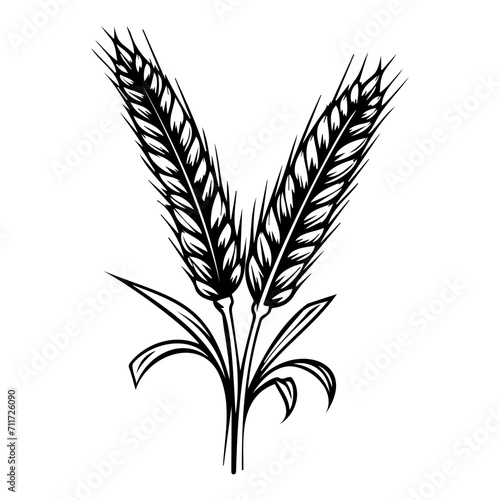 barley icon illustration, barley black silhouette logo svg vector